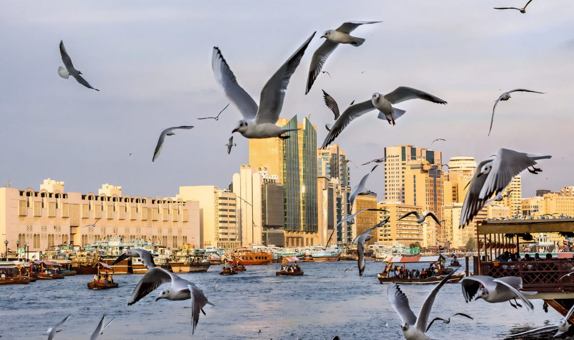 deira fallback getty Picsart AiImageEnhancer