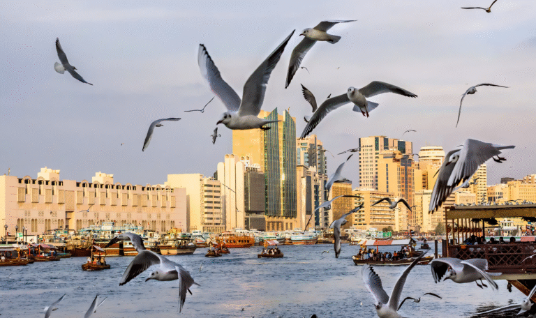 deira fallback getty Picsart AiImageEnhancer